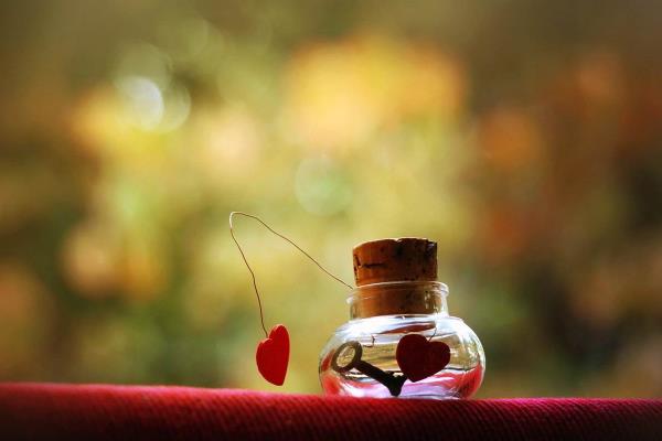 愛情需要雙方共同的付出 愛情需要雙方共同的付出