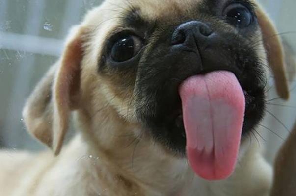 愛情需要雙方共同的付出