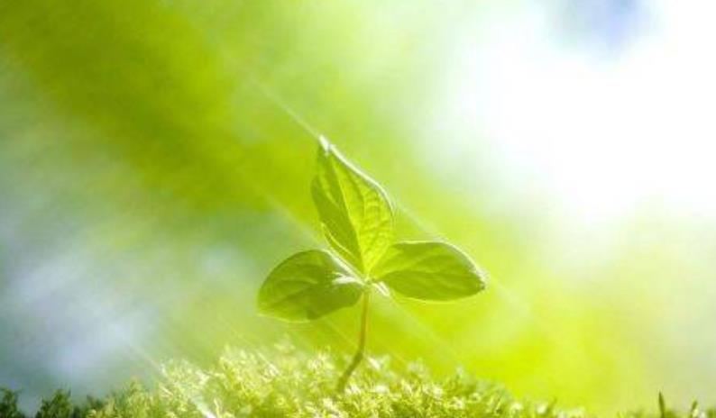 越努力是不是就越抑郁 越努力是不是就越抑郁