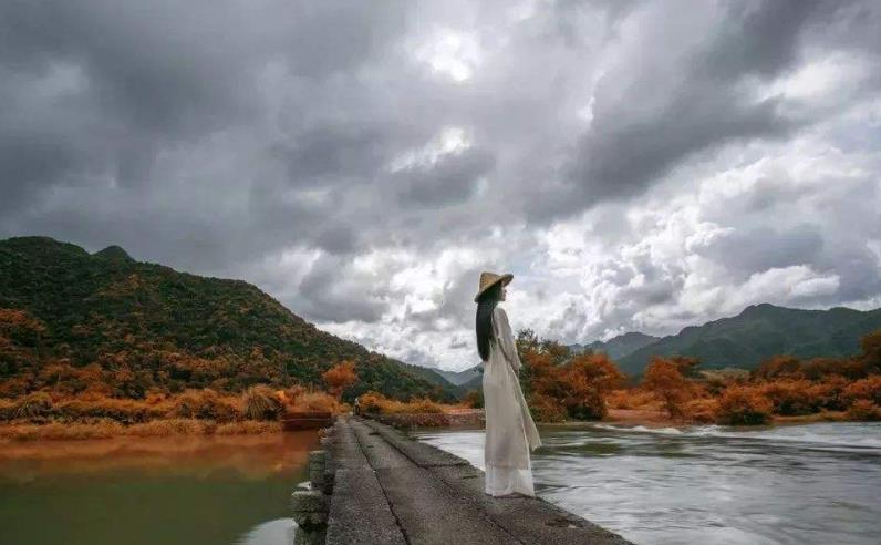 擇偶擇的是什么