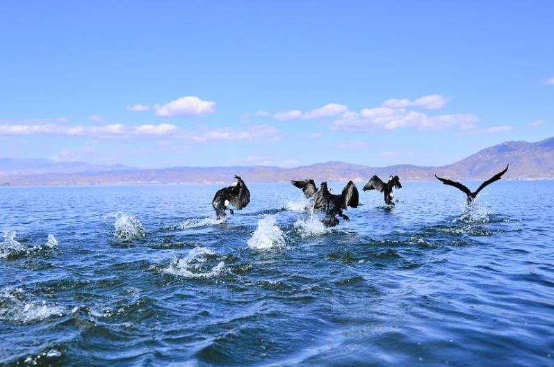 愛情啊你還要我怎樣 愛情啊你還要我怎樣