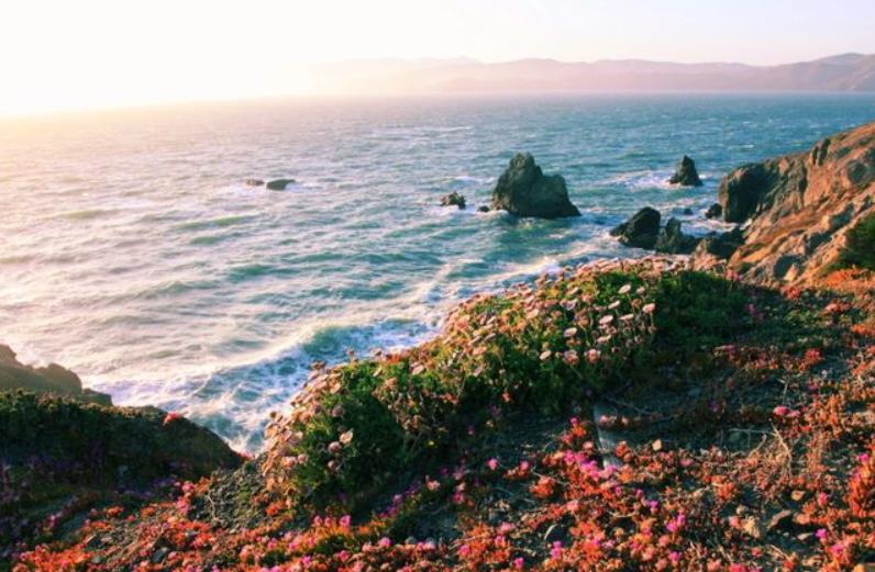 愛情啊你還要我怎樣 愛情啊你還要我怎樣