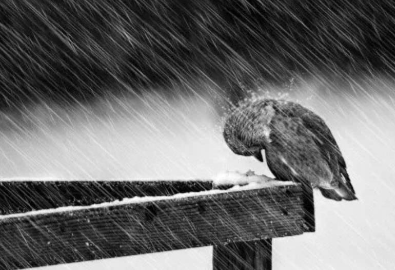 全球每40秒就有一人自殺