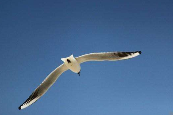 喜歡獨處的人擁有的12種特質(zhì) 喜歡獨處的人擁有的12種特質(zhì)