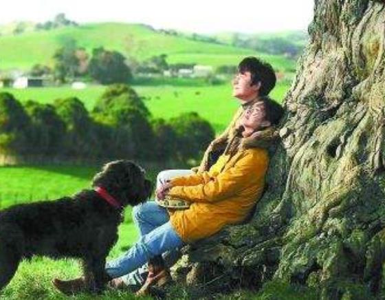 成熟的婚姻關(guān)系到底靠什么維系？