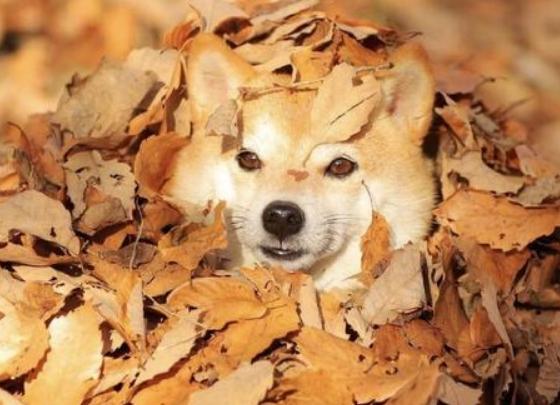 怎樣對抗負(fù)面情緒 怎樣對抗負(fù)面情緒