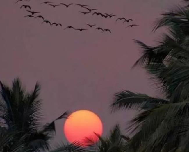 面對疫情帶來的負(fù)面情緒怎樣處理 面對疫情帶來的負(fù)面情緒怎樣處理