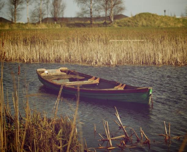 進(jìn)行中的心理咨詢什么時(shí)候可以結(jié)束？