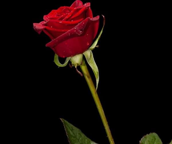 娶二婚女人逃不過這幾個(gè)結(jié)局