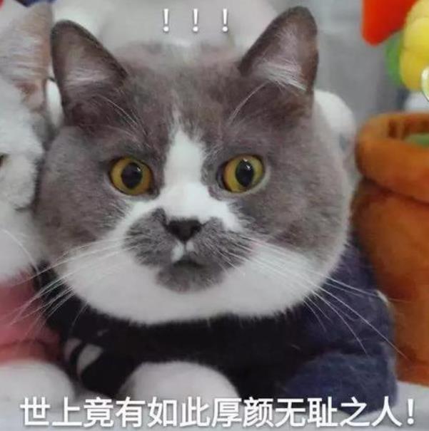 渣男出軌的真實(shí)原因
