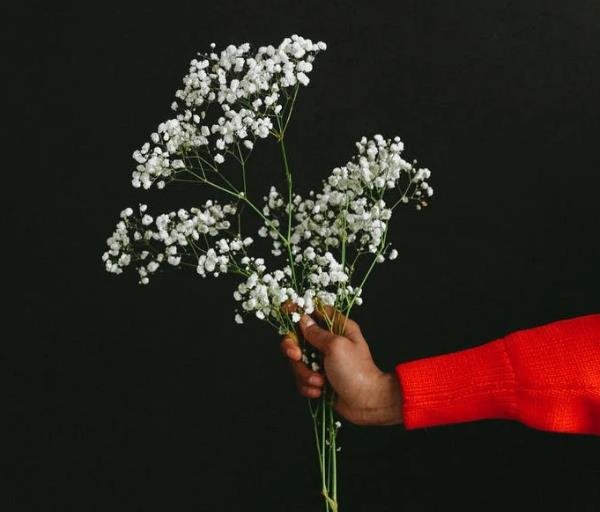 職場白領(lǐng)如何預(yù)防健忘癥 職場白領(lǐng)如何預(yù)防健忘癥