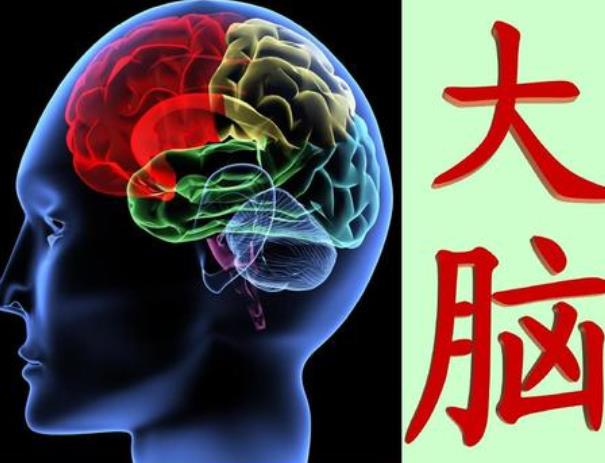 神經(jīng)可塑性是指什么？