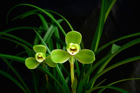 測(cè)試你為什么恐婚 測(cè)試你為什么恐婚