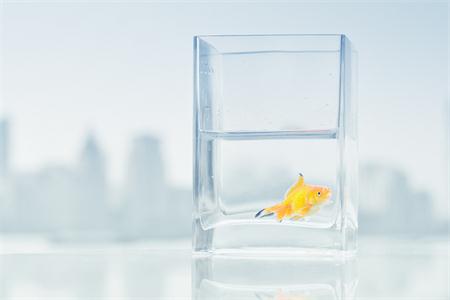 測試最令你向往的生活是什么
