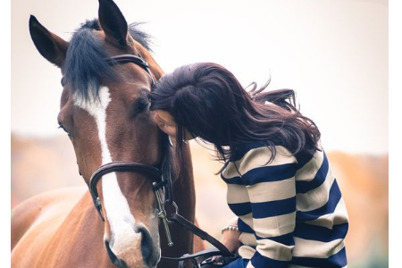 測(cè)哪種動(dòng)物符合你 測(cè)哪種動(dòng)物符合你