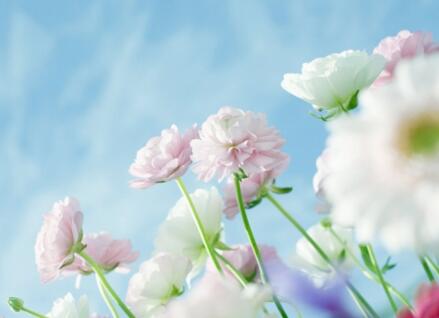 測試：你在人生的哪方面最容易經(jīng)歷坎坷？