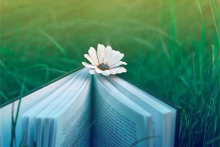 測試你的人生需要哪些忠告？