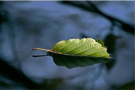 測試你的人生需要哪些忠告？