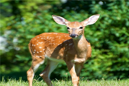 測(cè)你最重視對(duì)方的什么條件 測(cè)你最重視對(duì)方的什么條件