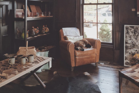 測(cè)你是否到了拖延癥晚期