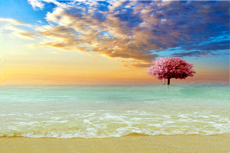 測試你會成為別人的備胎嗎