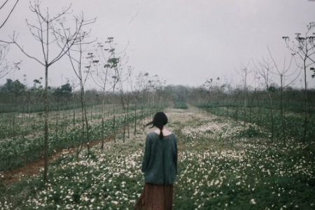 測(cè)你的性格壓力來自于哪里