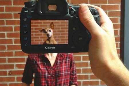 測你是別人眼中的豬隊(duì)友嗎 測你是別人眼中的豬隊(duì)友嗎