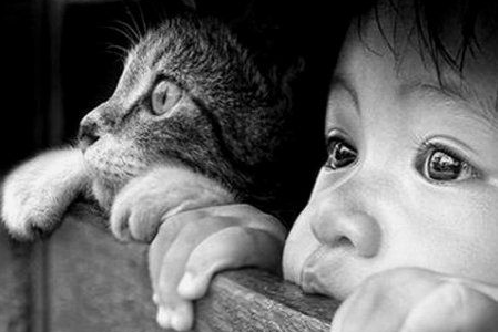 測你是別人眼中的豬隊(duì)友嗎 測你是別人眼中的豬隊(duì)友嗎