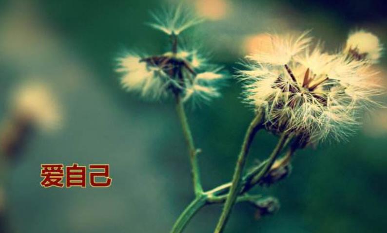 愛自己并不是自私自利