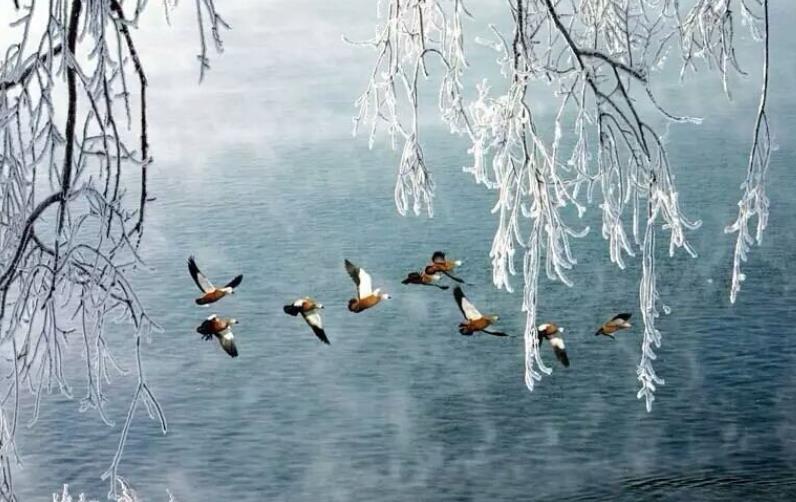 想太多會(huì)毀掉你的一生