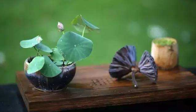 善待朋友，珍惜你所擁有的一切