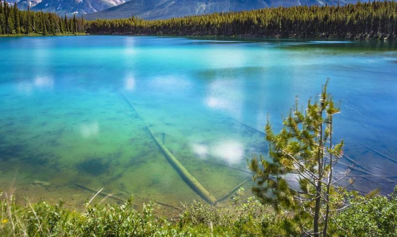 為什么按照習(xí)慣做事更容易失敗