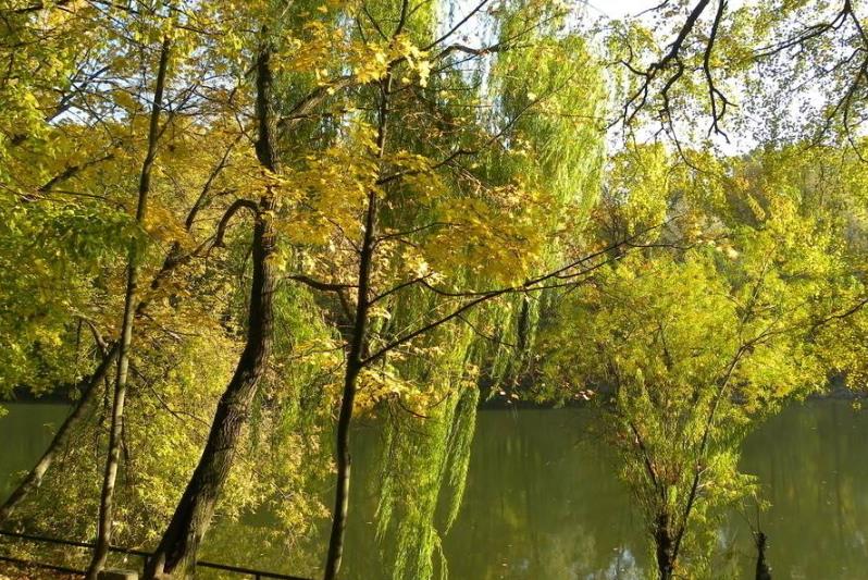 想要變得強(qiáng)大就要放下一些東西