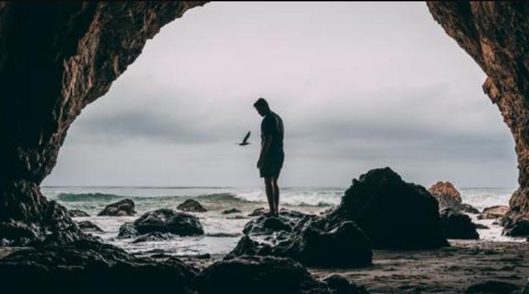 你我都是孤獨(dú)幸存者