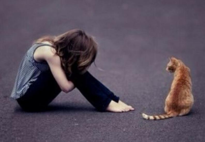 憤怒哪里來找準(zhǔn)虎穴最重要