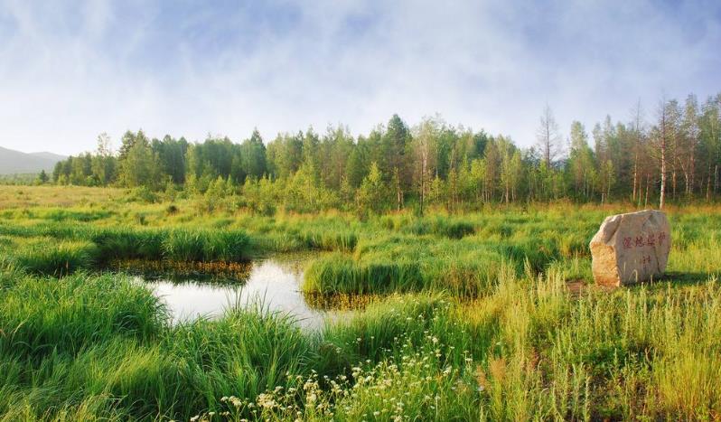 好玩又實(shí)用的幾個(gè)有趣的心理技巧