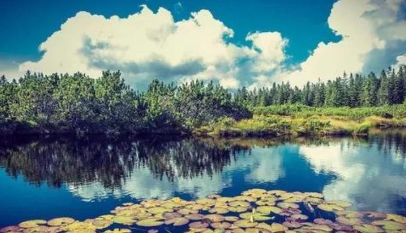 心理的自我覺察方法 心理的自我覺察方法