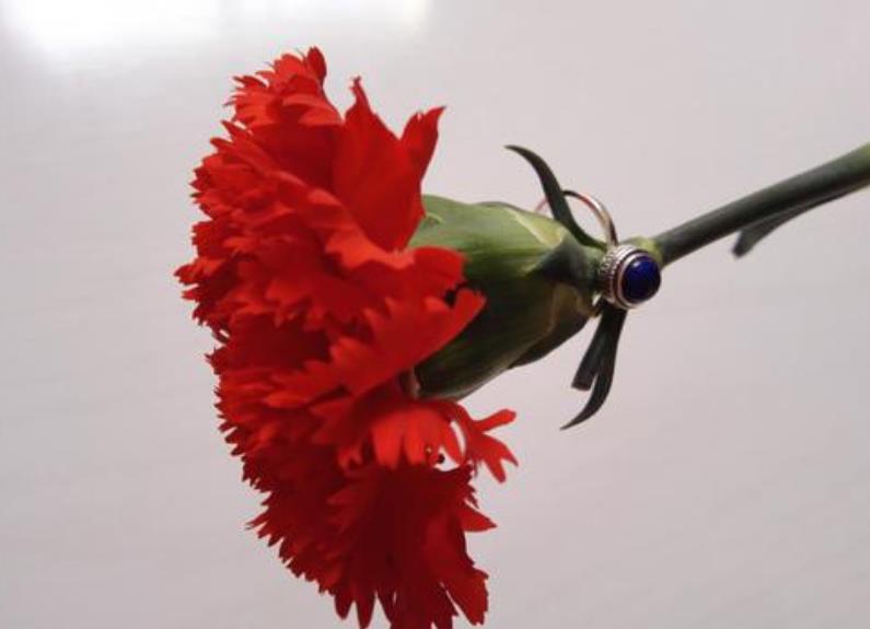 如何用催眠來瘦身和提升個人氣質(zhì) 如何用催眠來瘦身和提升個人氣質(zhì)