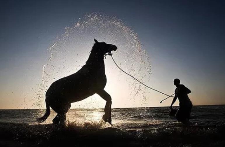 生活永遠(yuǎn)沒有你想象的那么簡(jiǎn)單 生活永遠(yuǎn)沒有你想象的那么簡(jiǎn)單