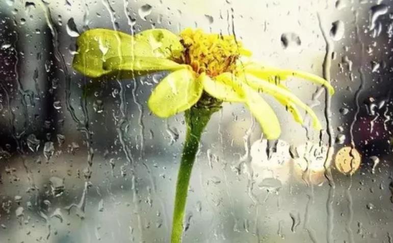 你是否正在為人情所累 你是否正在為人情所累