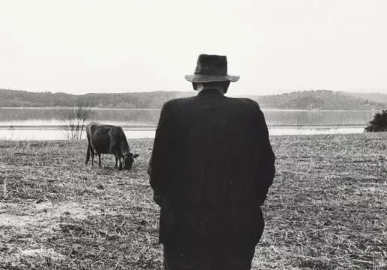 怎樣對(duì)抗虛無(wú)主義 怎樣對(duì)抗虛無(wú)主義