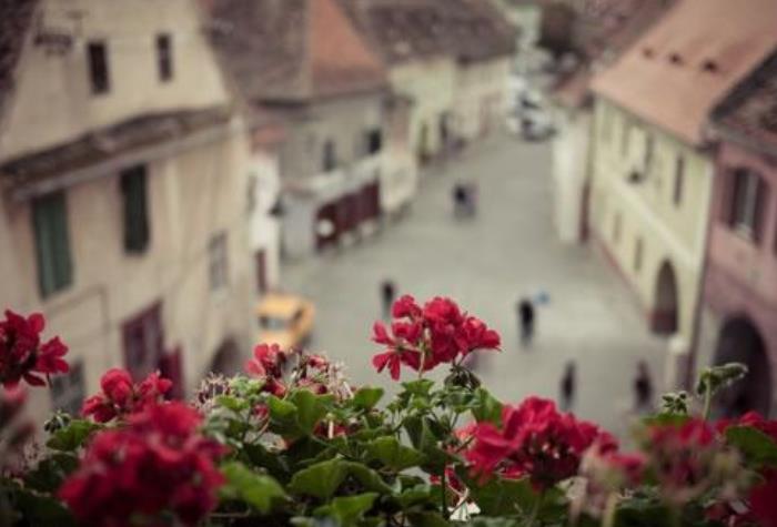 心靈脆弱的人該如何調(diào)整