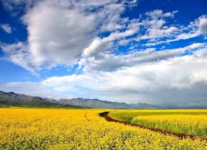 提升親和力的幾種技巧你掌握了嗎 提升親和力的幾種技巧你掌握了嗎