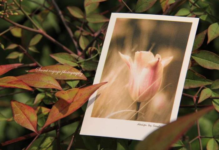 懂得接納是心理成熟的特質(zhì) 懂得接納是心理成熟的特質(zhì)