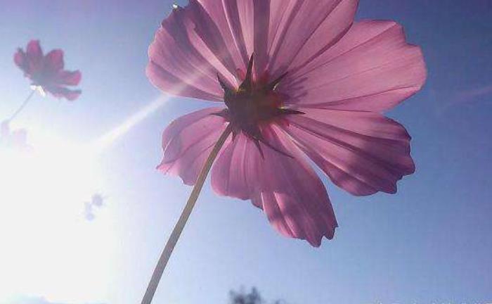 關(guān)于自卑的三大真相你還不知道嗎 關(guān)于自卑的三大真相你還不知道嗎