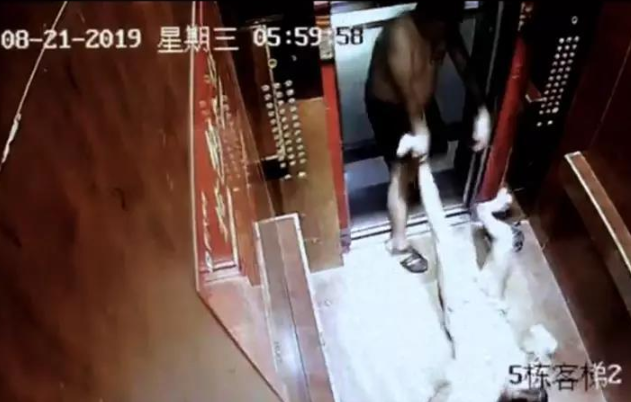 三種家暴的類型你知道嗎