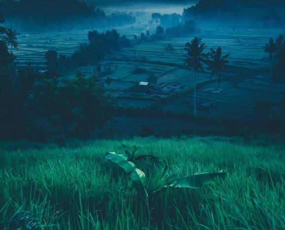 性別認(rèn)同障礙有哪些表現(xiàn)