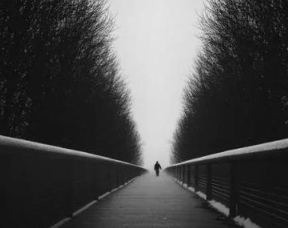 關于人性的六大需求