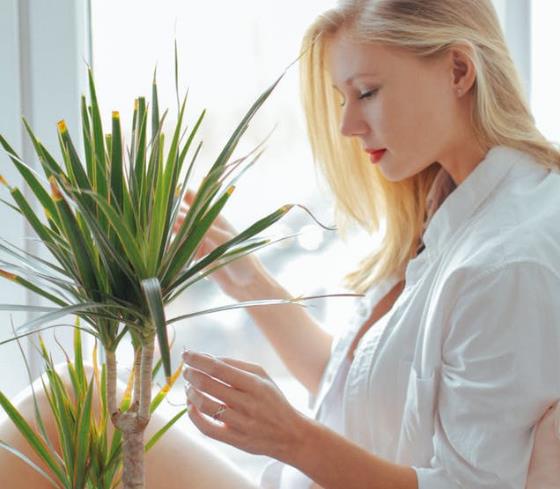 “干凈的女生”是什么樣的？