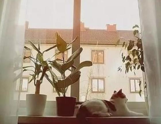 一個(gè)人越活越好的六個(gè)跡象